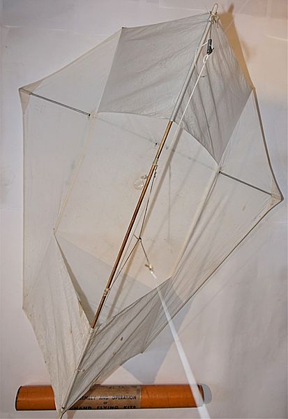 'Conyne' Pattern Aerial Kite and Tube - Click for the bigger picture