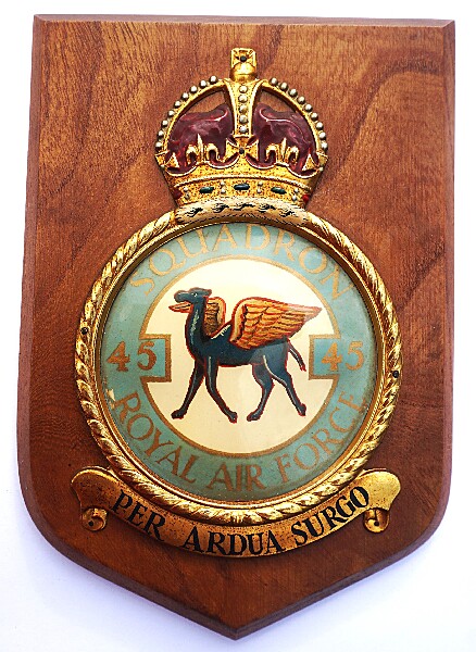 45 Squadron RAF Plaque - Click for the bigger picture