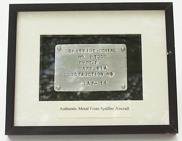 Spitfire Skin Relic - Click for the bigger picture