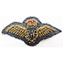 RAF Pilot's Mess Jacket Brevet - Click for the bigger picture