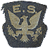 Eagle Squadron Sleeve Insignia - Click for the bigger picture