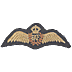 Miniature RAF Pilot's Brevet - Click for the bigger picture