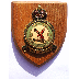 RAF 23 Squadron Plaque - Click for the bigger picture