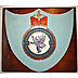 607 County of Durham Squadron Royal Auxiliary Air Force Plaque - Click for the bigger picture