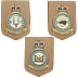 RAF Unit Plaques mounted on oak shields. - Click for the bigger picture