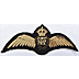 RAF Pilots Wings - Click for the bigger picture