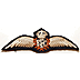 Original Royal Flying Corps Veterans Wings - Click for the bigger picture