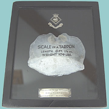 HMS Tarpon Presentation Gift - Click for the bigger picture