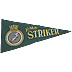 HMS Striker Souvenir Pennant - Click for the bigger picture